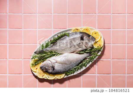 Raw Dorada fish in hard light 104816521