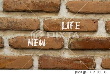 New life symbol. Concept words New life on beautiful brown brick wall on a beautiful brown brick wall background. Business, support, motivation, psychological and new life concept. Copy space. 104816810