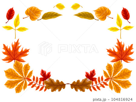 Frame with autumn leaves. Illustration with various foliage. Frame with autumn leaves. Illustration with various foliage. 104816924