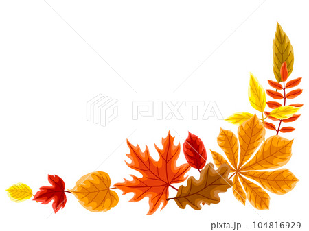 Background with autumn leaves. Illustration with various foliage. 104816929