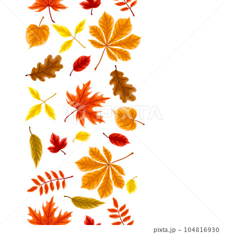 Pattern with autumn leaves. Background with various foliage. Pattern with autumn leaves. Background with various foliage. 104816930