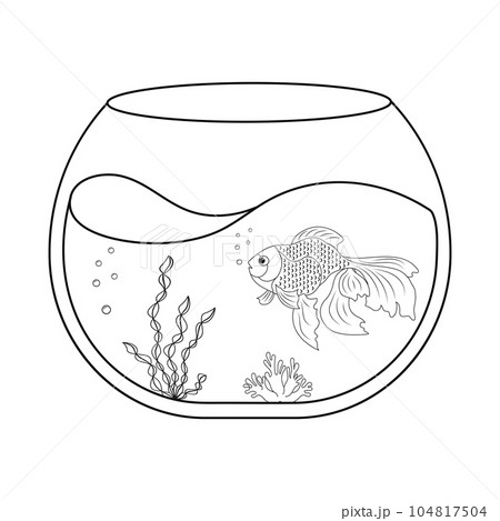 Fish in aquarium. Veiltail coloring page in bowl. Simple illustration of an aquatic pet Fish in aquarium. Veiltail coloring page in bowl. Simple illustration of an aquatic pet 104817504
