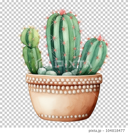 Cute watercolor cactus. Illustration AI Generative 104818477