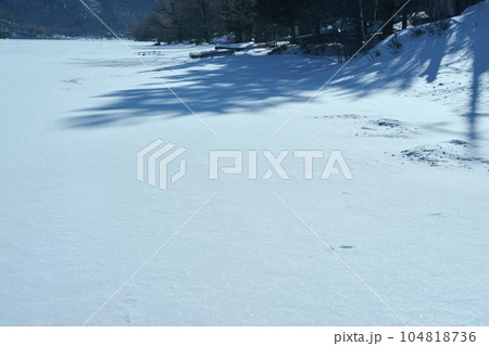 冬の山,枯れ木,雪,朝 104818736