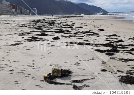海辺の海藻とゴミ 海岸の漂着物 104819105
