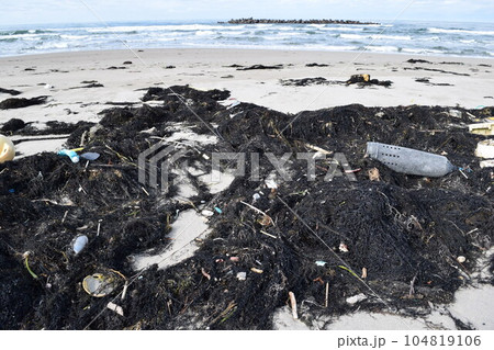 海辺の海藻とゴミ 海岸の漂着物 海辺の海藻とゴミ 海岸の漂着物 104819106