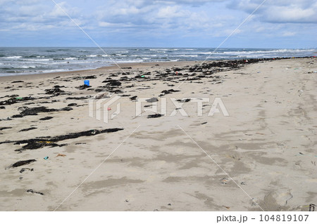 海辺の海藻とゴミ 海岸の漂着物 海辺の海藻とゴミ 海岸の漂着物 104819107