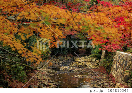 晩秋の三原佛通寺　佛通寺川の紅葉と飛猿橋 104819345