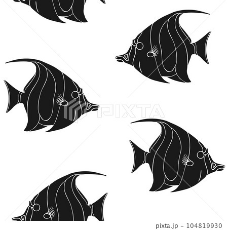 Vector seamless pattern of hand drawn angel fish 104819930