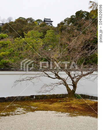 日本庭園「有楽苑」にて、遠方に犬山城 日本庭園「有楽苑」にて、遠方に犬山城 104820096