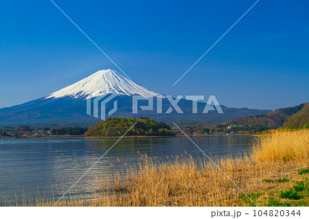 河口湖湖畔からの富士山(山梨県-富士河口湖町) 河口湖湖畔からの富士山(山梨県-富士河口湖町) 104820344