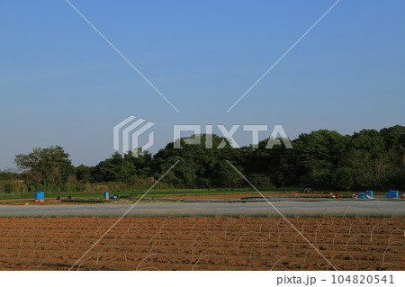 田園風景と青い空 田園風景と青い空 104820541