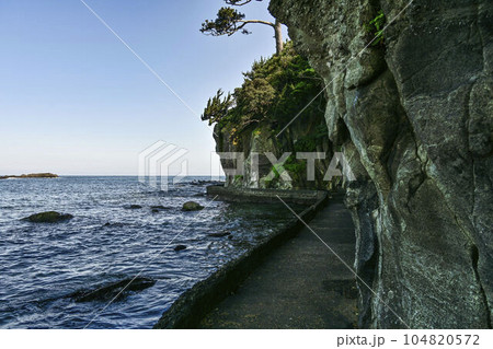 須崎恵比須島より望む相模灘 須崎恵比須島より望む相模灘 104820572