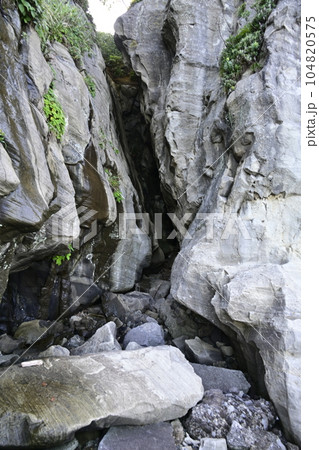 須崎恵比須島の岩 104820575