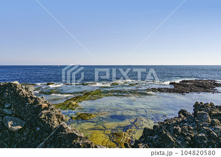 須崎恵比須島、千畳敷 須崎恵比須島、千畳敷 104820580