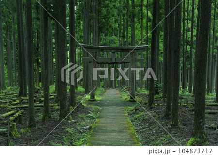 異世界へ通じる 104821717