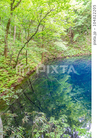青池(十二湖)ブナの森が育む青い池 青池(十二湖)ブナの森が育む青い池 104822205