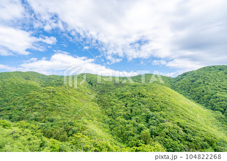 竜泊ライン　津軽半島　山道 104822268