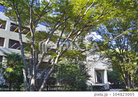 東京都立中央図書館 東京都立中央図書館 104823005