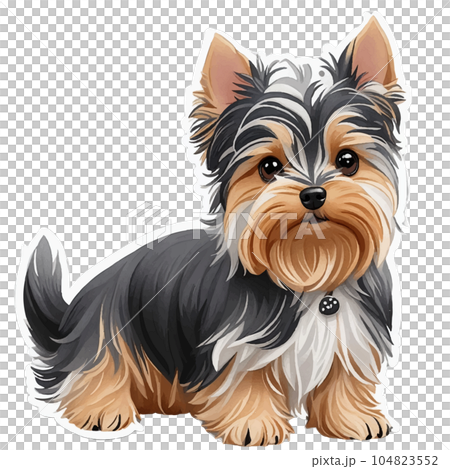 ヨークシャーテリア】手描きイラスト 原画 《1298》（【ヨークシャー  