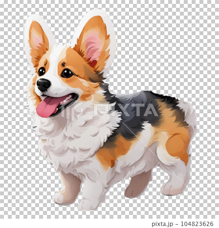 可愛的真實觸摸柯基犬 104823626