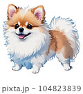可愛いリアルタッチのポメラニアン 104823839