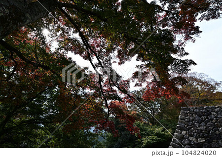 秋の高取城跡 秋の高取城跡 104824020