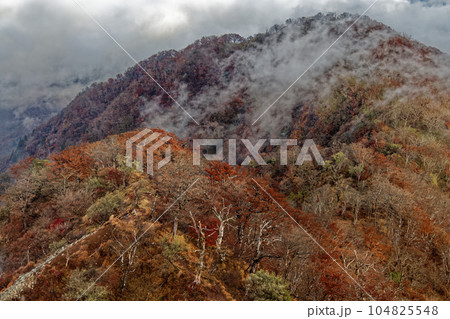 未明の丹沢・檜洞丸から雲流れる紅葉の稜線 未明の丹沢・檜洞丸から雲流れる紅葉の稜線 104825548