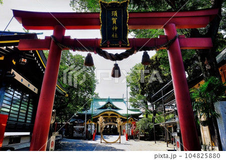 東京都新宿区　須賀神社　夏越の祓 104825880