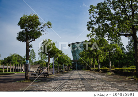 梅雨の晴れ間の下馬中央公園 梅雨の晴れ間の下馬中央公園 104825991