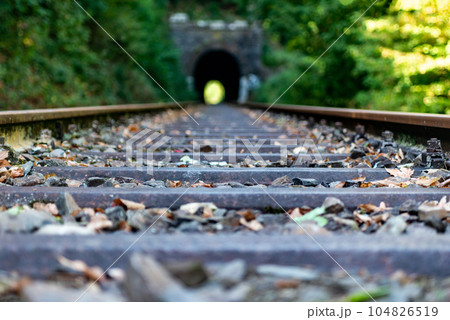 a railway in the spring forest. Tunnel of rails, trees and the railroad a railway in the spring forest. Tunnel of rails, trees and the railroad 104826519