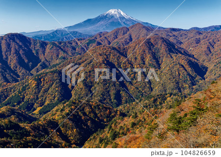 丹沢山地・檜洞丸稜線から見る紅葉の山並みと富士山 104826659