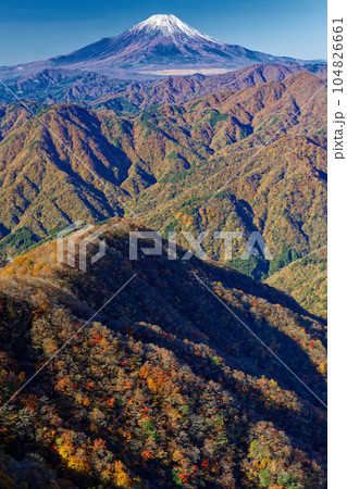 丹沢山地・檜洞丸稜線から見る紅葉の山並みと富士山 104826661