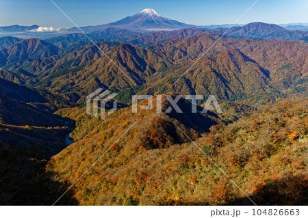 丹沢山地・檜洞丸稜線から見る紅葉の山並みと富士山 104826663