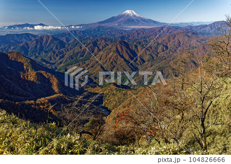 丹沢山地・檜洞丸稜線から見る紅葉の山並みと富士山 104826666