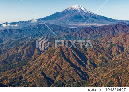 丹沢山地・檜洞丸稜線から見る紅葉の山並みと富士山 104826667