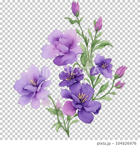 Violet purple flower bouquet 104826976