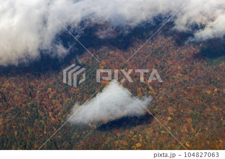 丹沢山地・檜洞丸から見る紅葉の山肌 104827063
