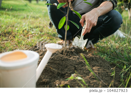 young man gardener, planting tree in garden, gardening and watering plants young man gardener, planting tree in garden, gardening and watering plants 104827923
