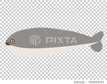 一個可愛的 Sakaban Baspis 的重建模型/手繪插圖素材 104828452