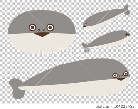 かわいいサカバンバスピスの復元模型セット/手書きイラスト素材 かわいいサカバンバスピスの復元模型セット/手書きイラスト素材 104828458