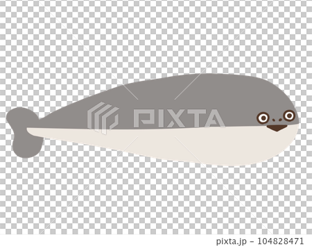 かわいいサカバンバスピスの復元模型/手書きイラスト素材 かわいいサカバンバスピスの復元模型/手書きイラスト素材 104828471