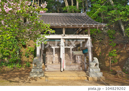【新井崎神社】 京都府与謝郡伊根町新井 【新井崎神社】 京都府与謝郡伊根町新井 104829202