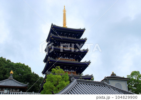宝塚　中山寺の風景 104829900