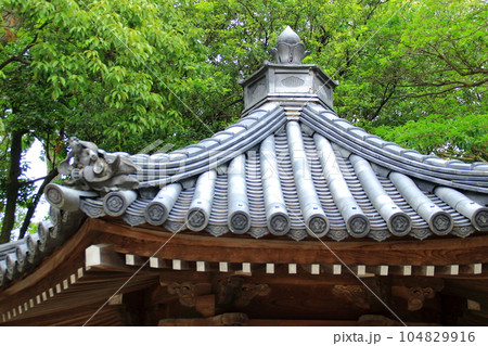宝塚 中山寺の風景 宝塚 中山寺の風景 104829916