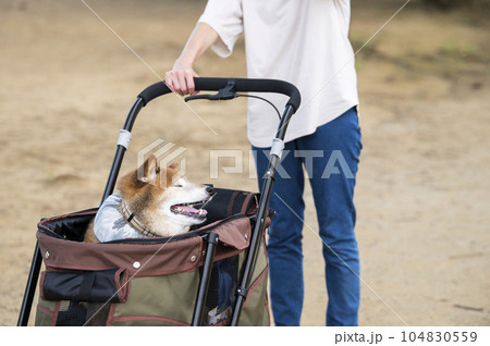 ペットカートに乗って散歩する犬 ペットカートに乗って散歩する犬 104830559
