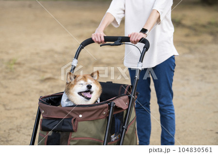 ペットカートに乗って散歩する犬 目つむり ペットカートに乗って散歩する犬 目つむり 104830561