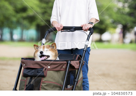 ペットカートに乗って散歩する犬 ペットカートに乗って散歩する犬 104830573