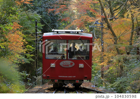 紅葉した木々のトンネルを進む、秋の筑波山の赤いケーブルカー 紅葉した木々のトンネルを進む、秋の筑波山の赤いケーブルカー 104830598