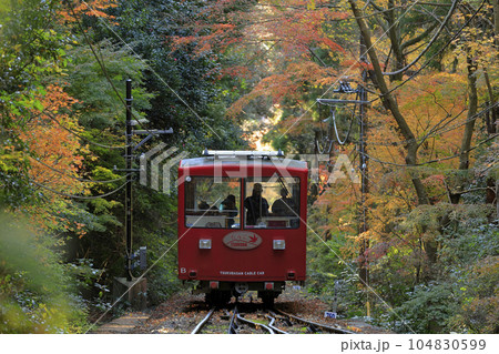 紅葉した木々のトンネルを進む、秋の筑波山の赤いケーブルカー 104830599